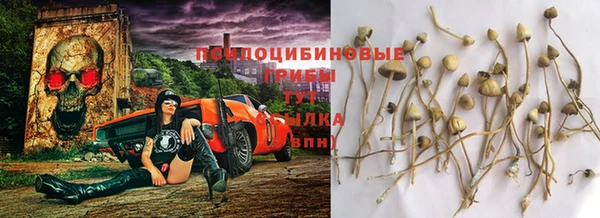 бутират Волосово