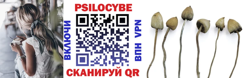 Псилоцибиновые грибы MAGIC MUSHROOMS  Купить закладки  Нязепетровск 