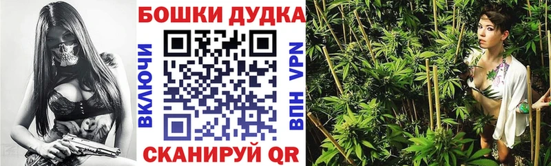 Купить закладки  Нязепетровск  Бошки марихуана план 